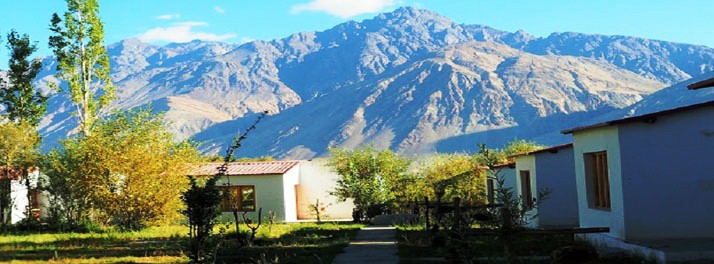 2409/Himalayan Eco Resort - Nubra Valley 10.jpg